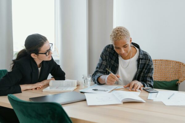 20h Cours individuel préparation TCF IRN + Examen (date à définir)